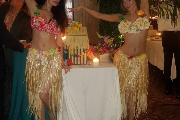 Themed Private Party Event Dancing Performers New York City